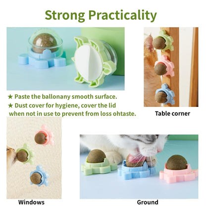 Catnip Dental Delight Wall Toy