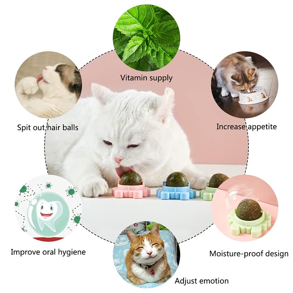 Catnip Dental Delight Wall Toy