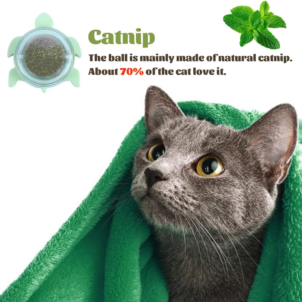 Catnip Dental Delight Wall Toy