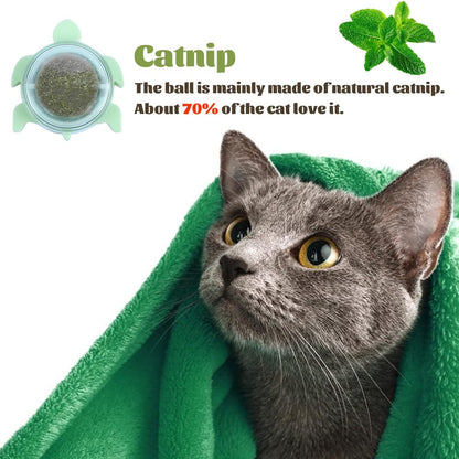 Catnip Dental Delight Wall Toy
