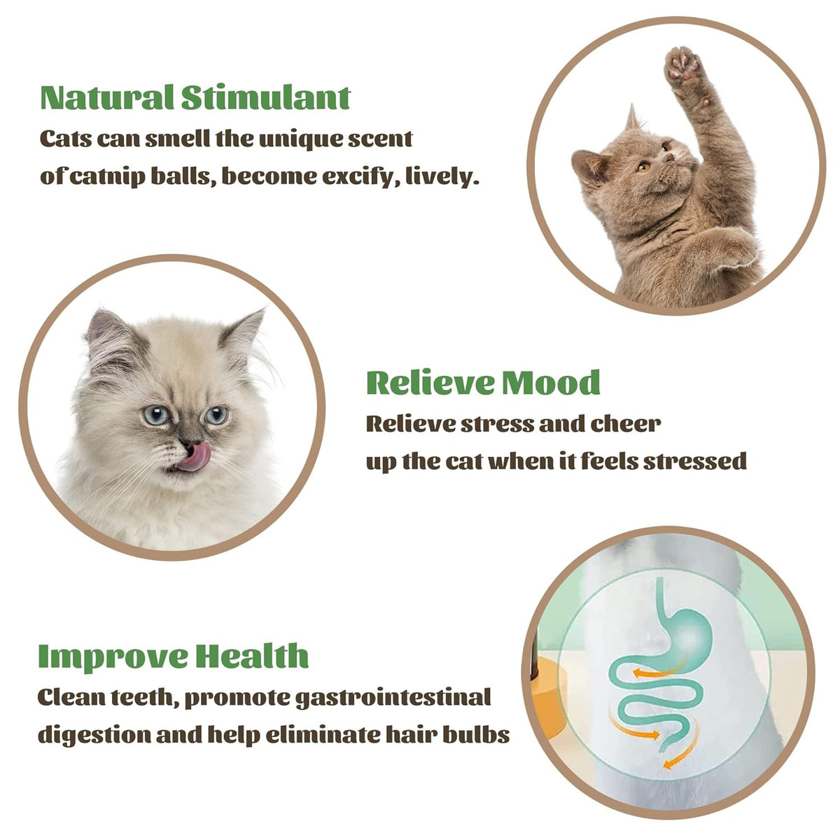 Catnip Dental Delight Wall Toy